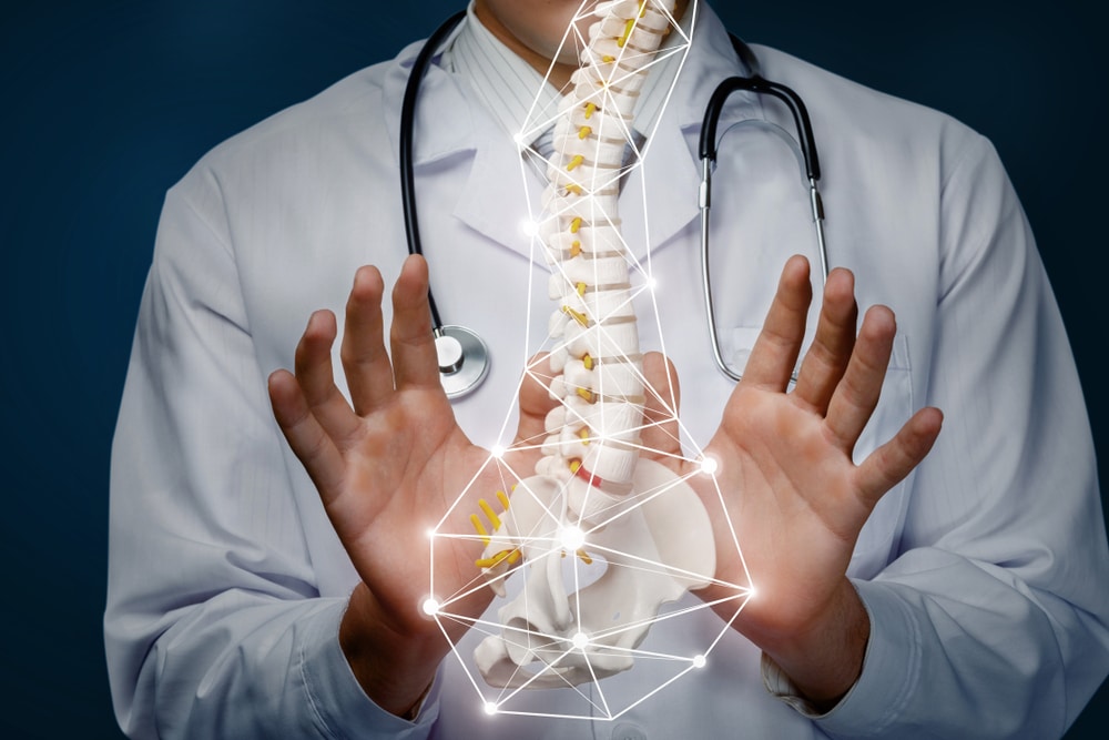 Why You Should See an Auto Accident Chiropractor